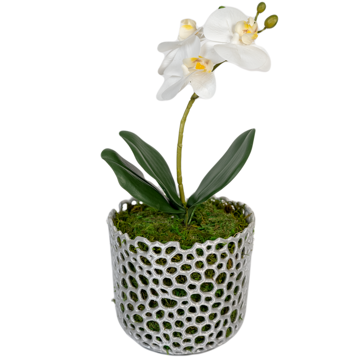Mesh Cylinder Orchid Pot