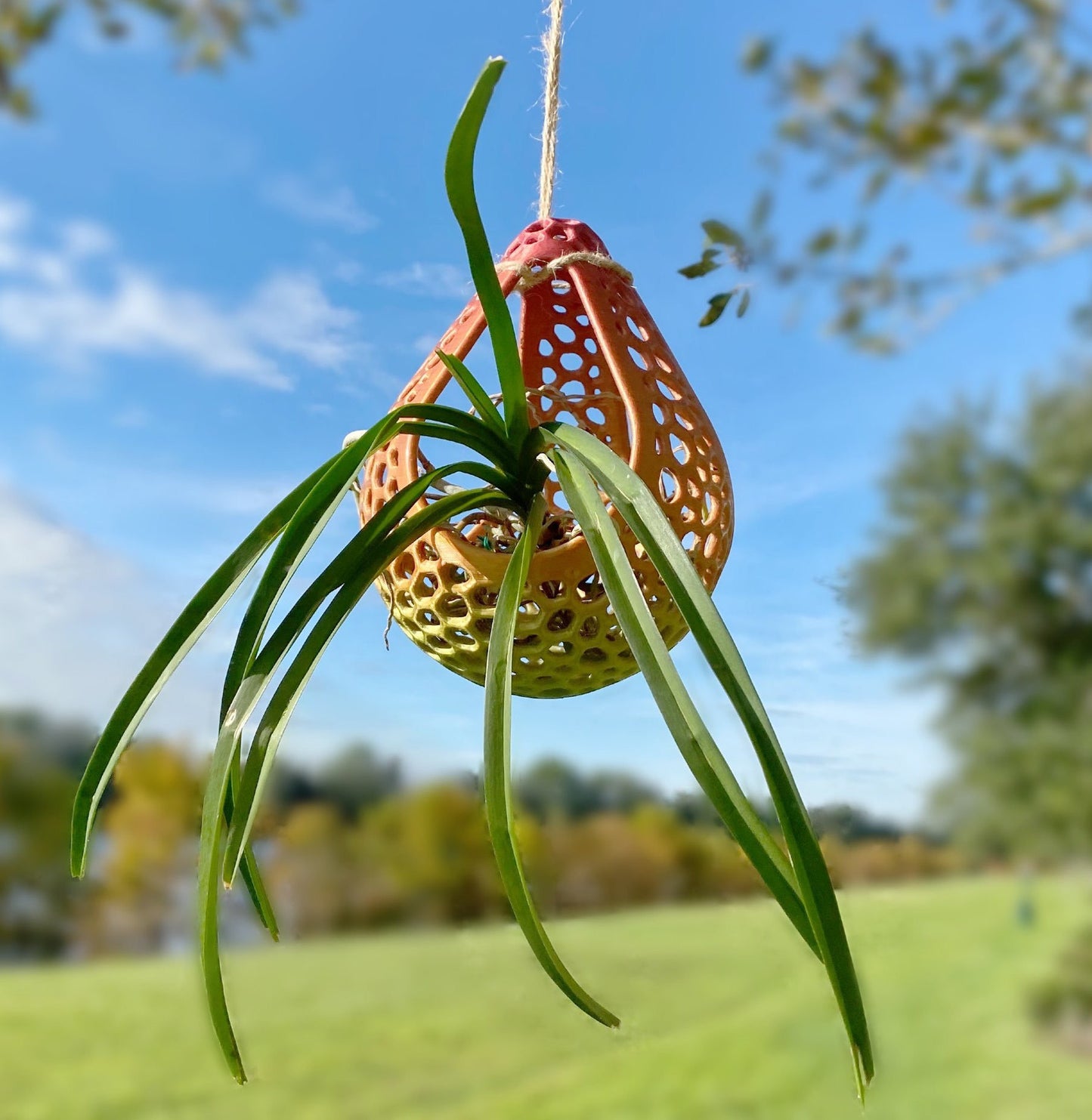 Hanging Teardrop Orchid Pot