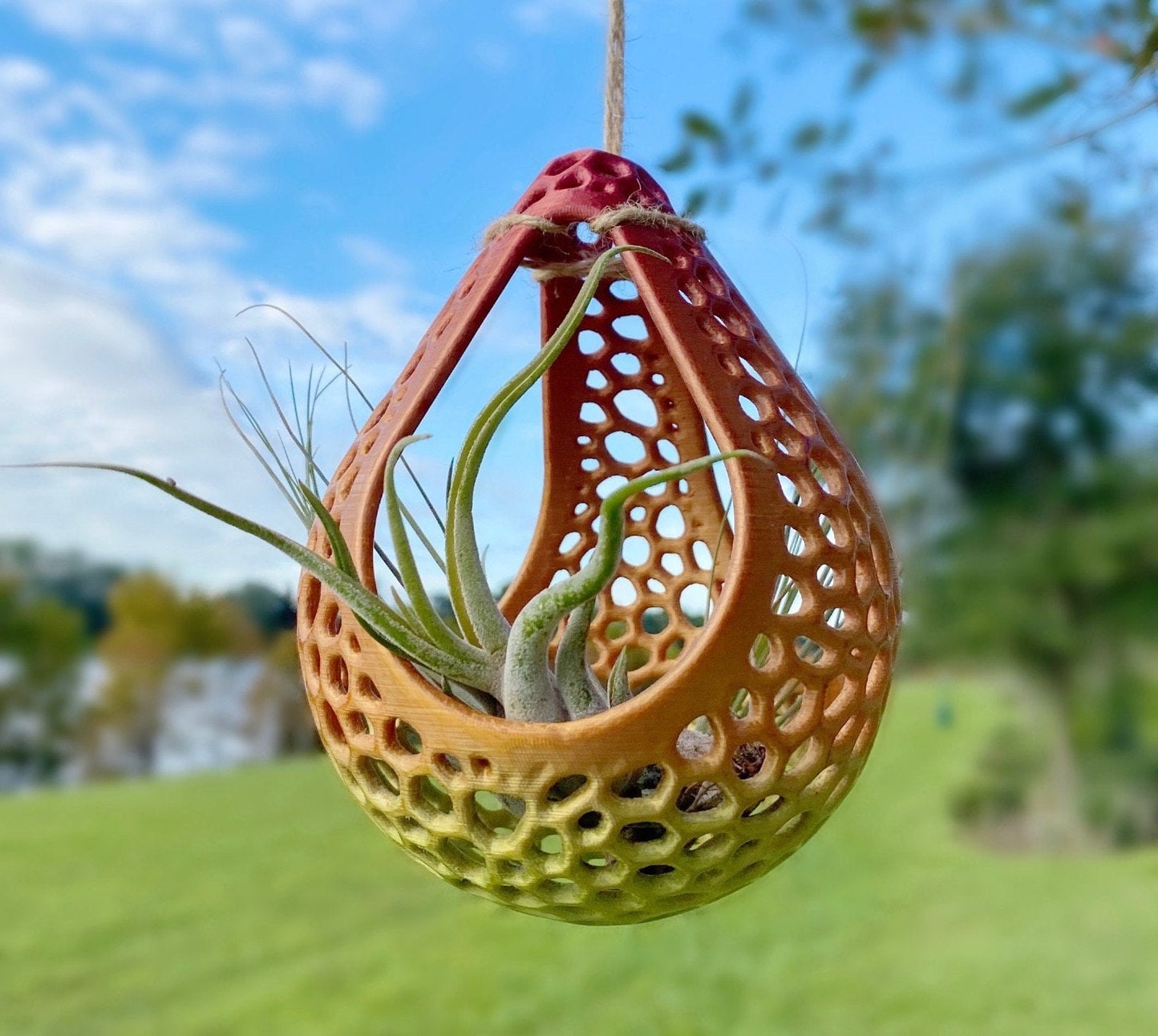 Hanging Teardrop Orchid Pot