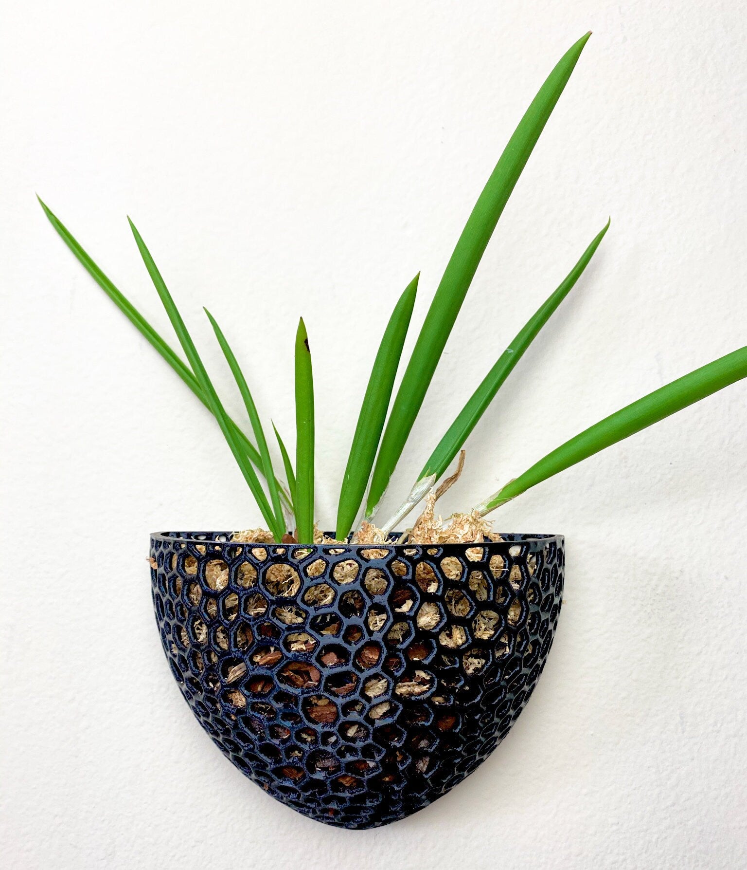 Mesh Wall Cone Orchid Pot