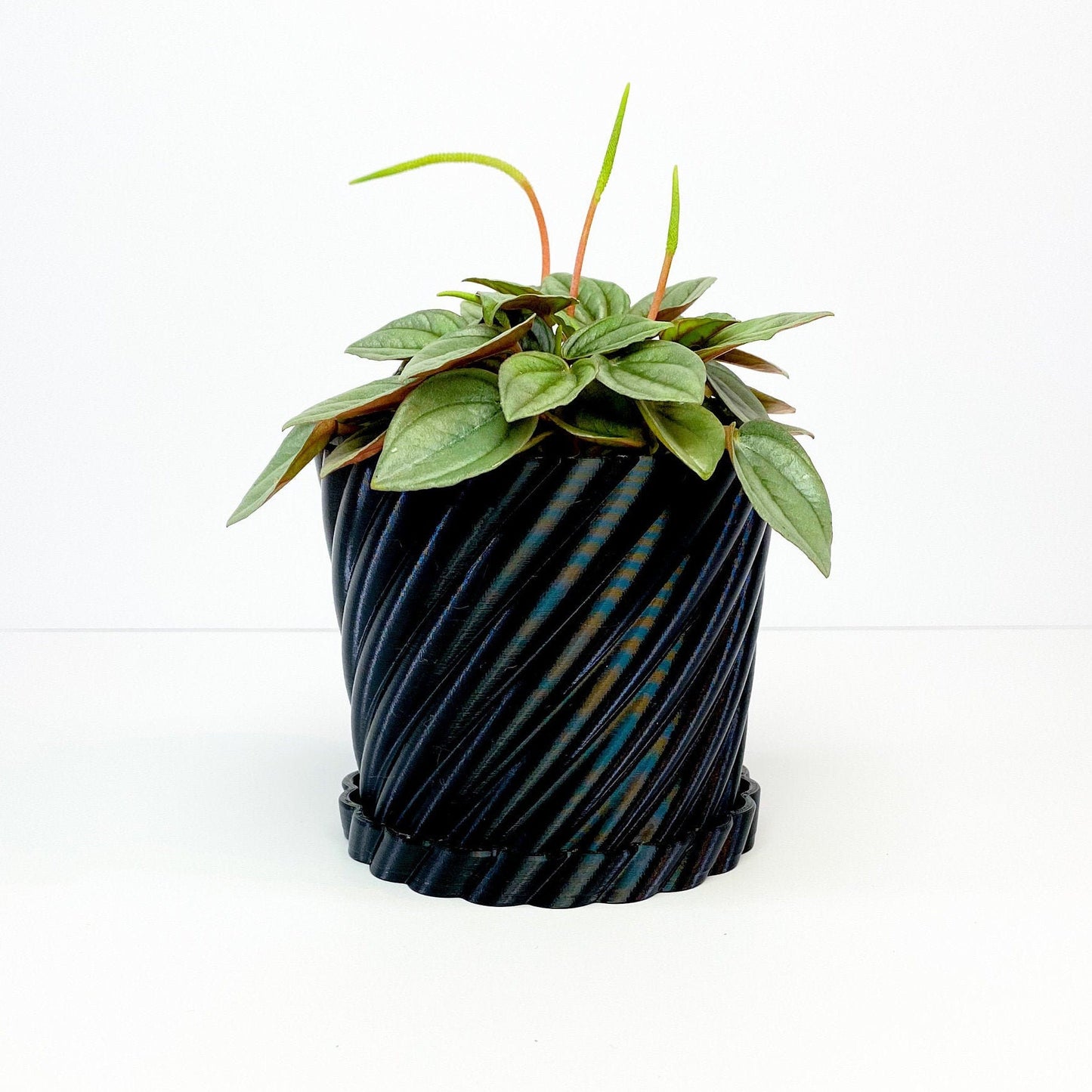Wave Twist Pot