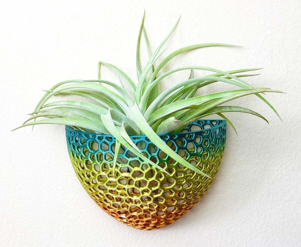 Mesh Wall Cone Orchid Pot