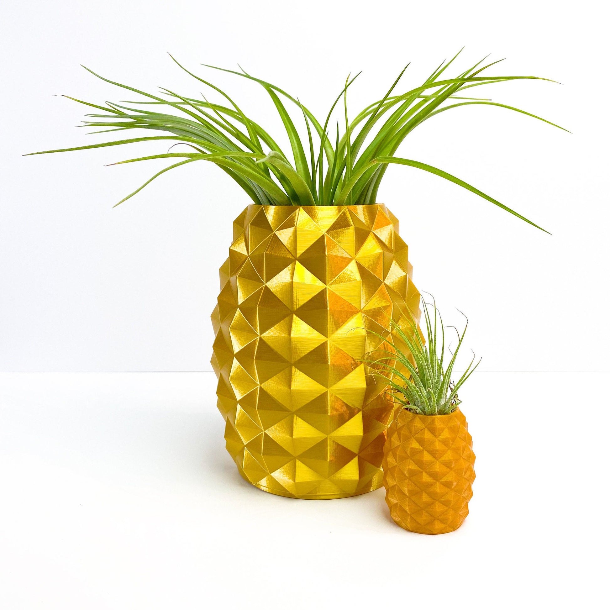 Pineapple Pot