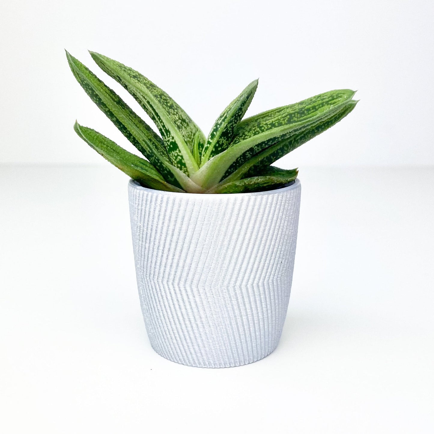 Minimalist Line Pot