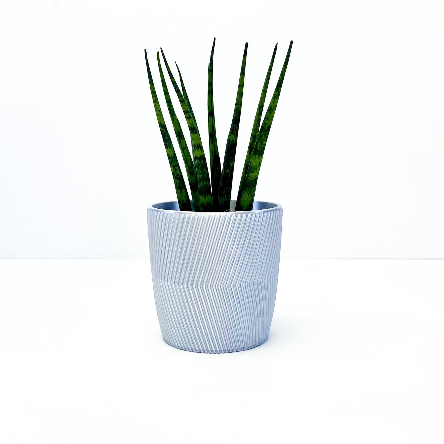 Minimalist Line Pot