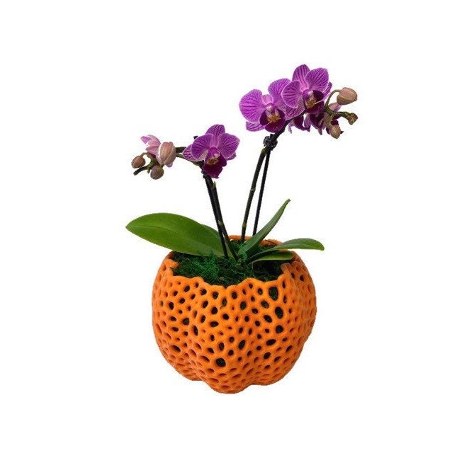 Mesh Pumpkin Orchid Pot