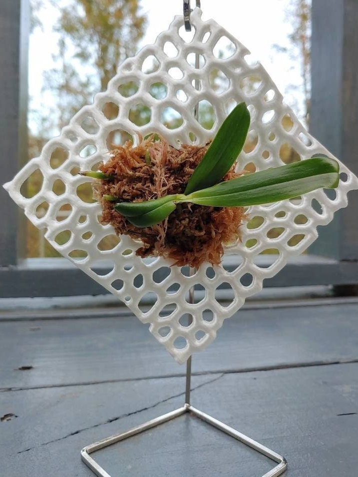 Mesh Orchid Mount