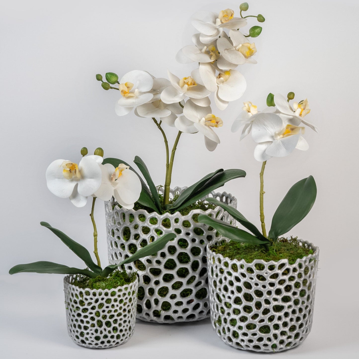Mesh Cylinder Orchid Pot