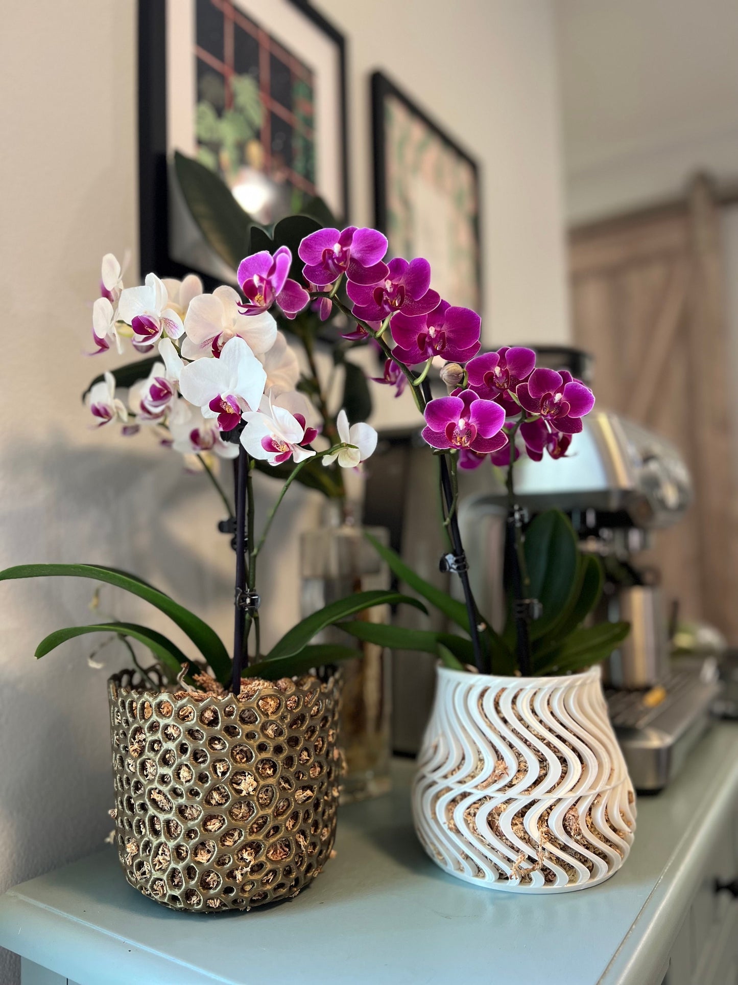 Mesh Cylinder Orchid Pot