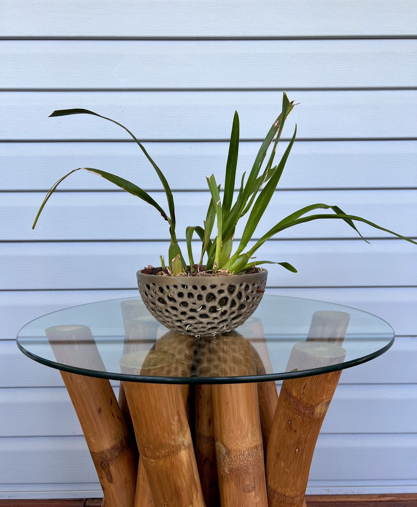 Mesh Bowl Orchid Pot