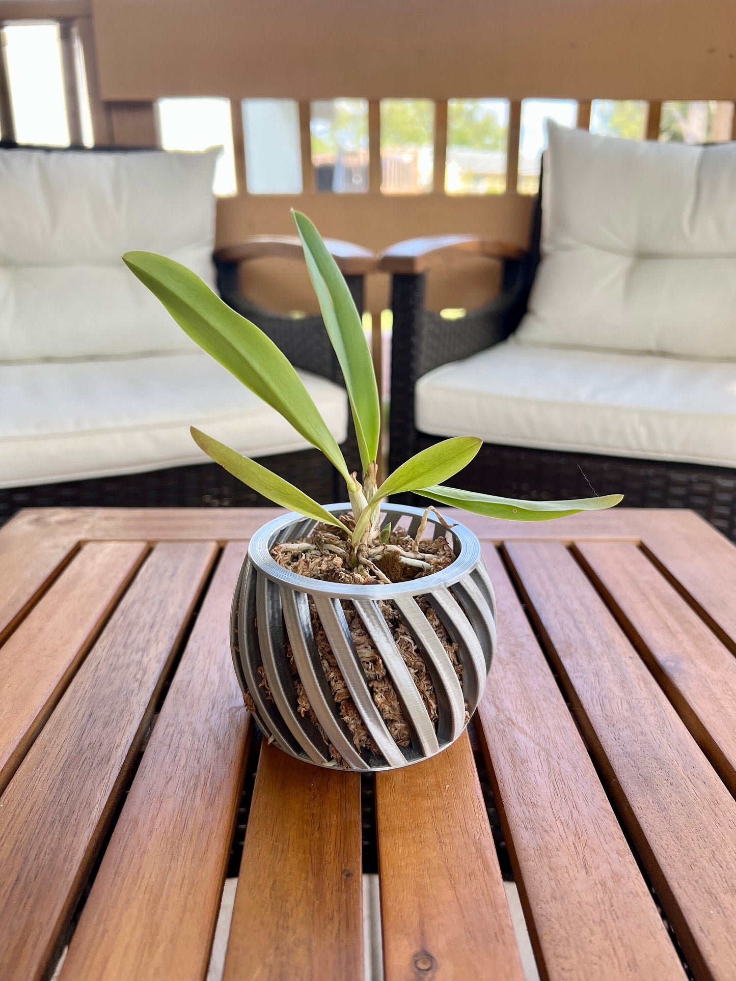 Swirl Orchid Pot
