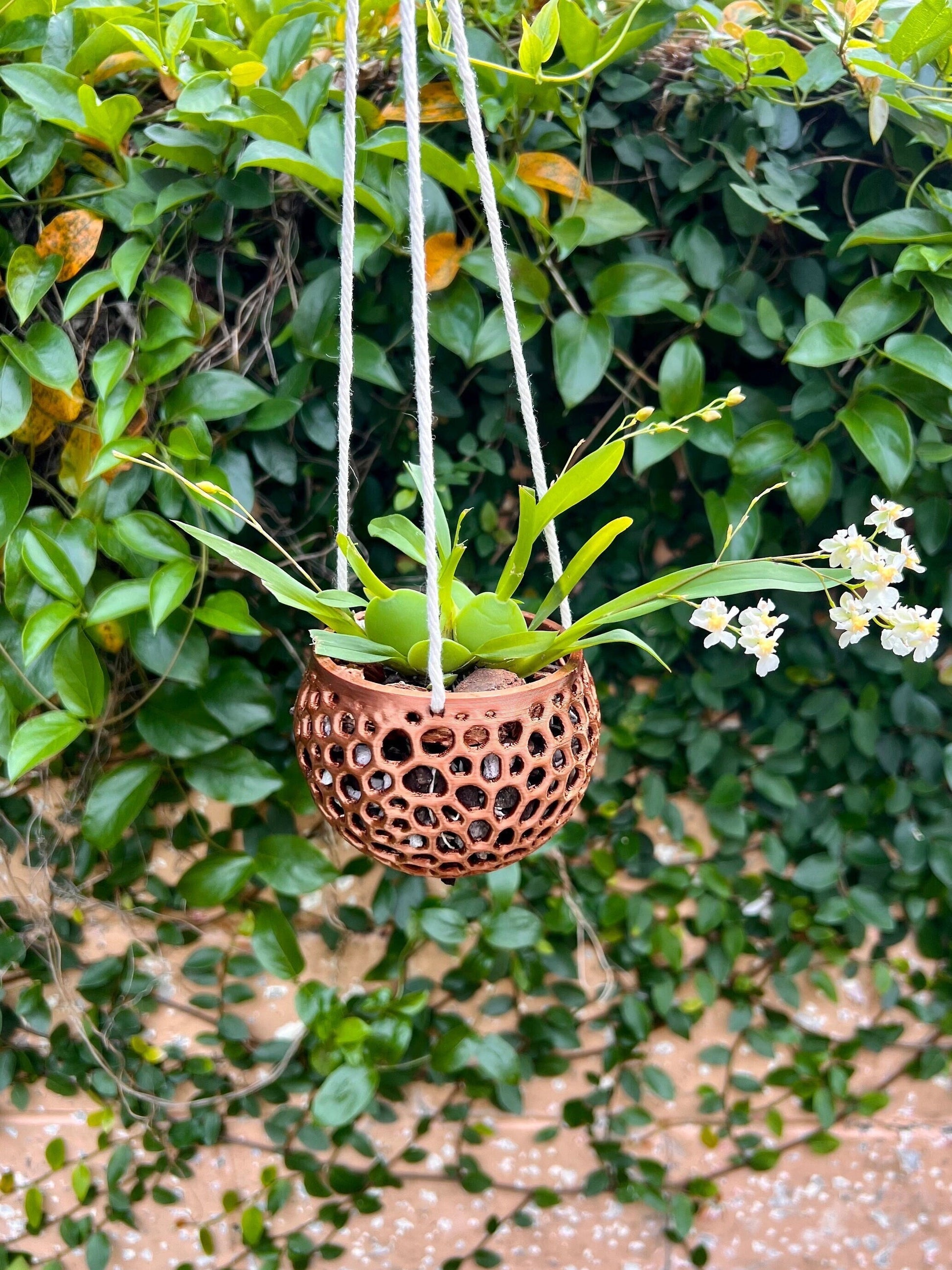 Hanging Kokedama Orchid Pot
