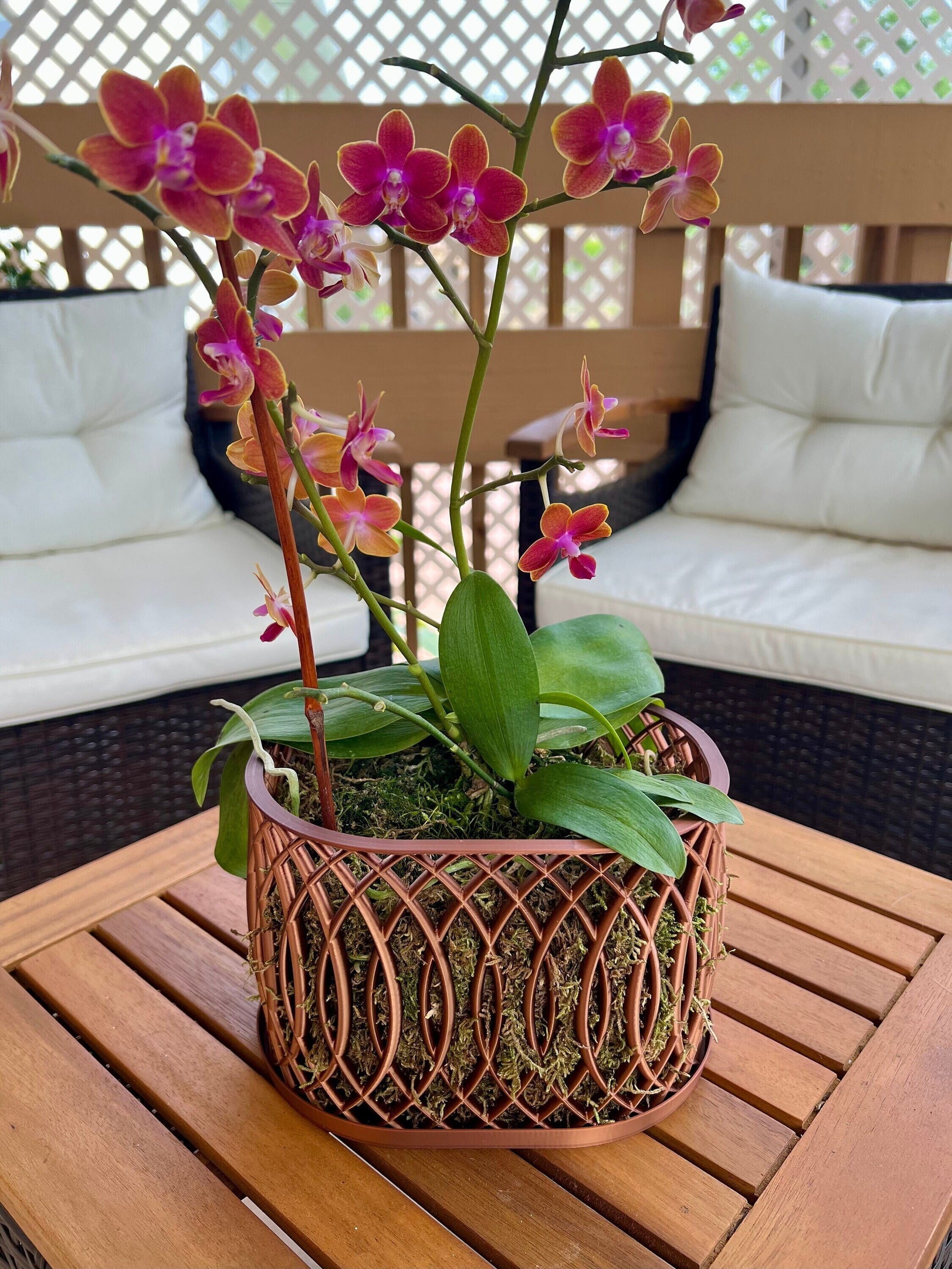 Arc Orchid Pot