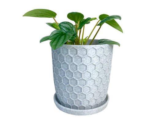 Honeycomb Pot