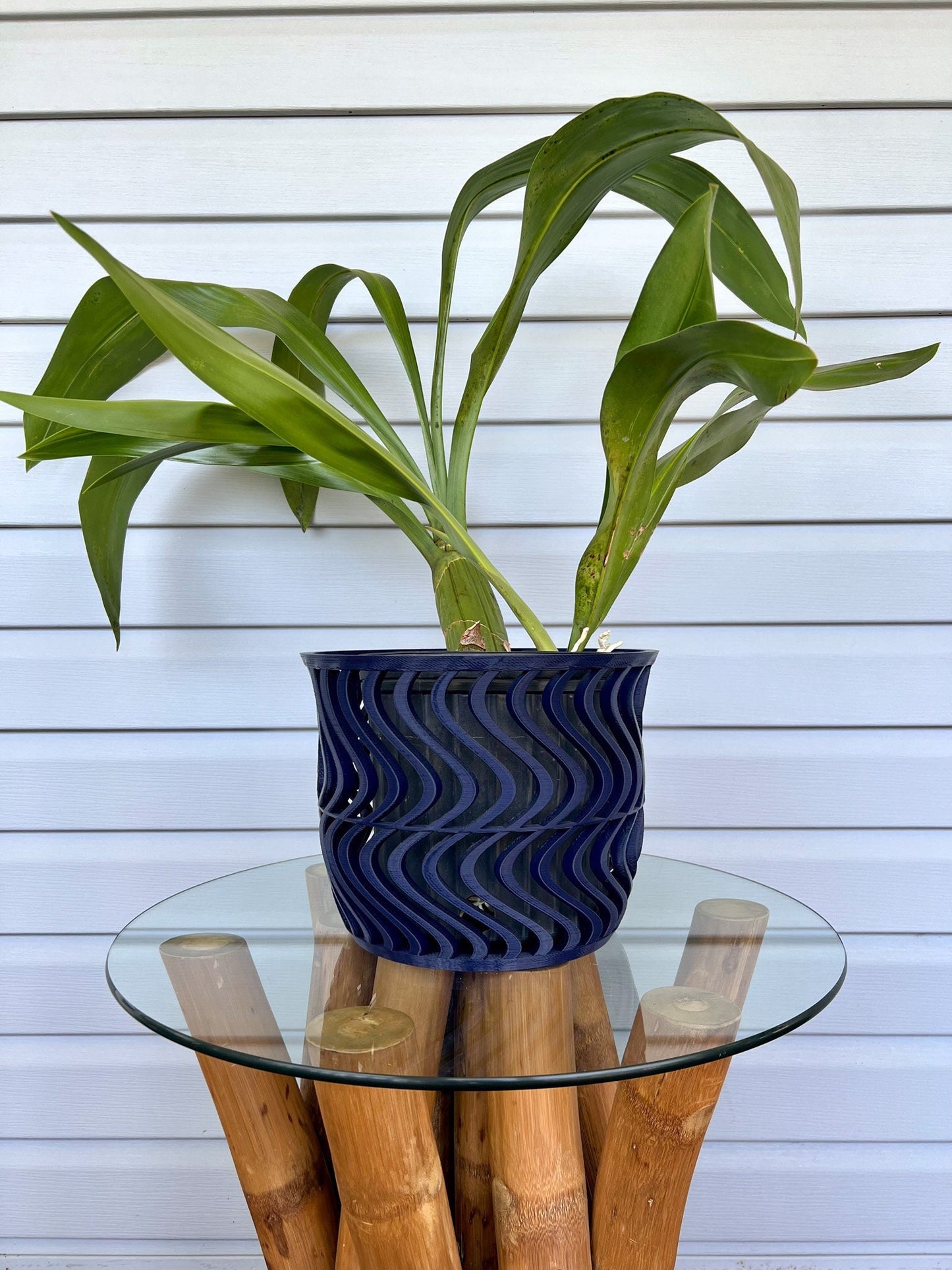 Wide Groovy Orchid Pot