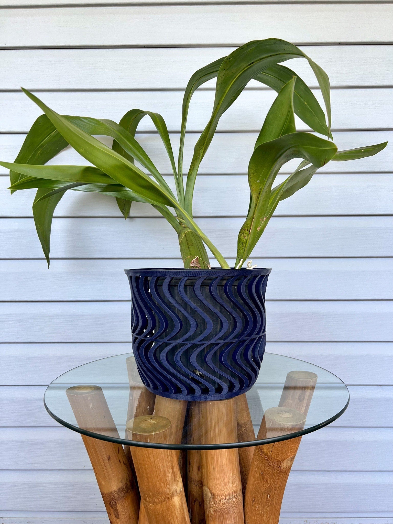 Wide Groovy Orchid Pot