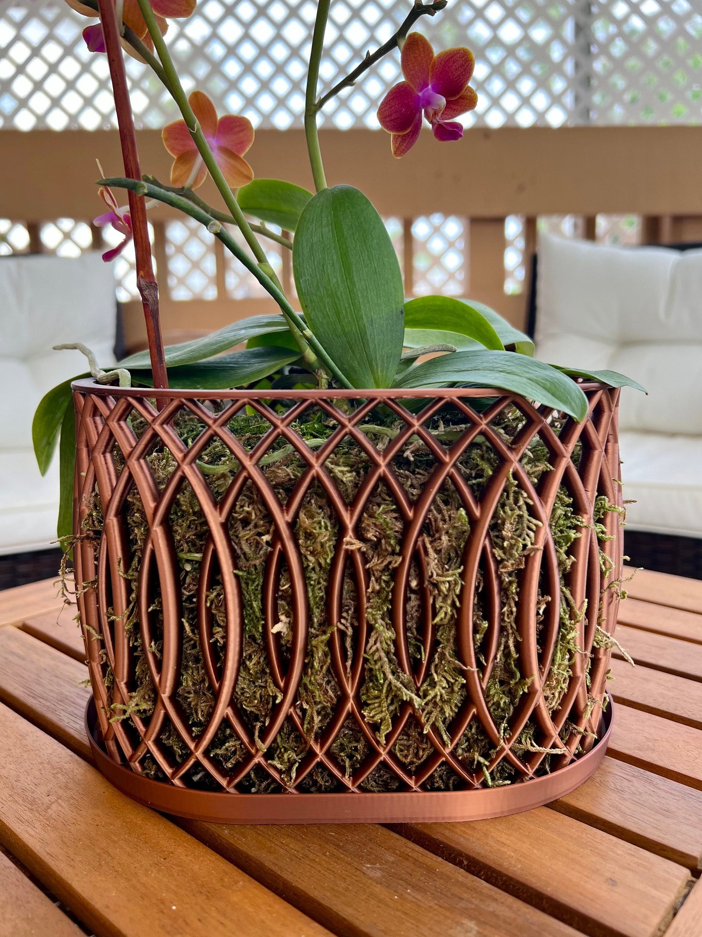 Arc Orchid Pot