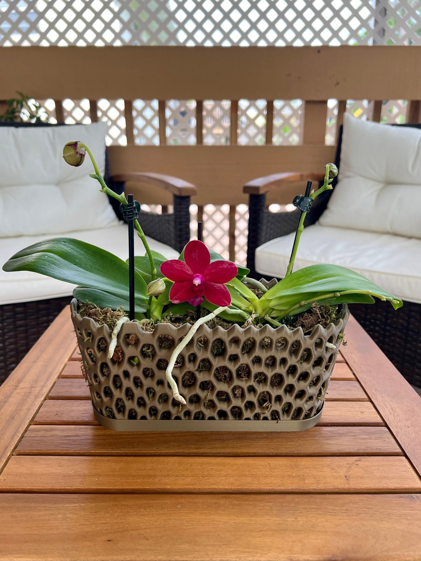 Mesh Trough Orchid Pot