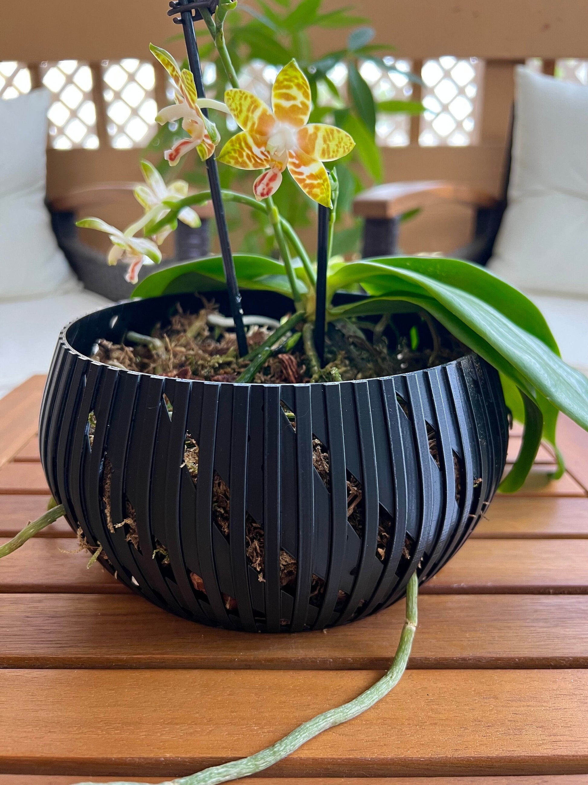 Orchid Geometric Lines Bowl, Multi Orchid Pot Planter, Modern Stylish Minimalist Orchid Pot, Orchid Pot with Drainage, Orchid Centerpiece