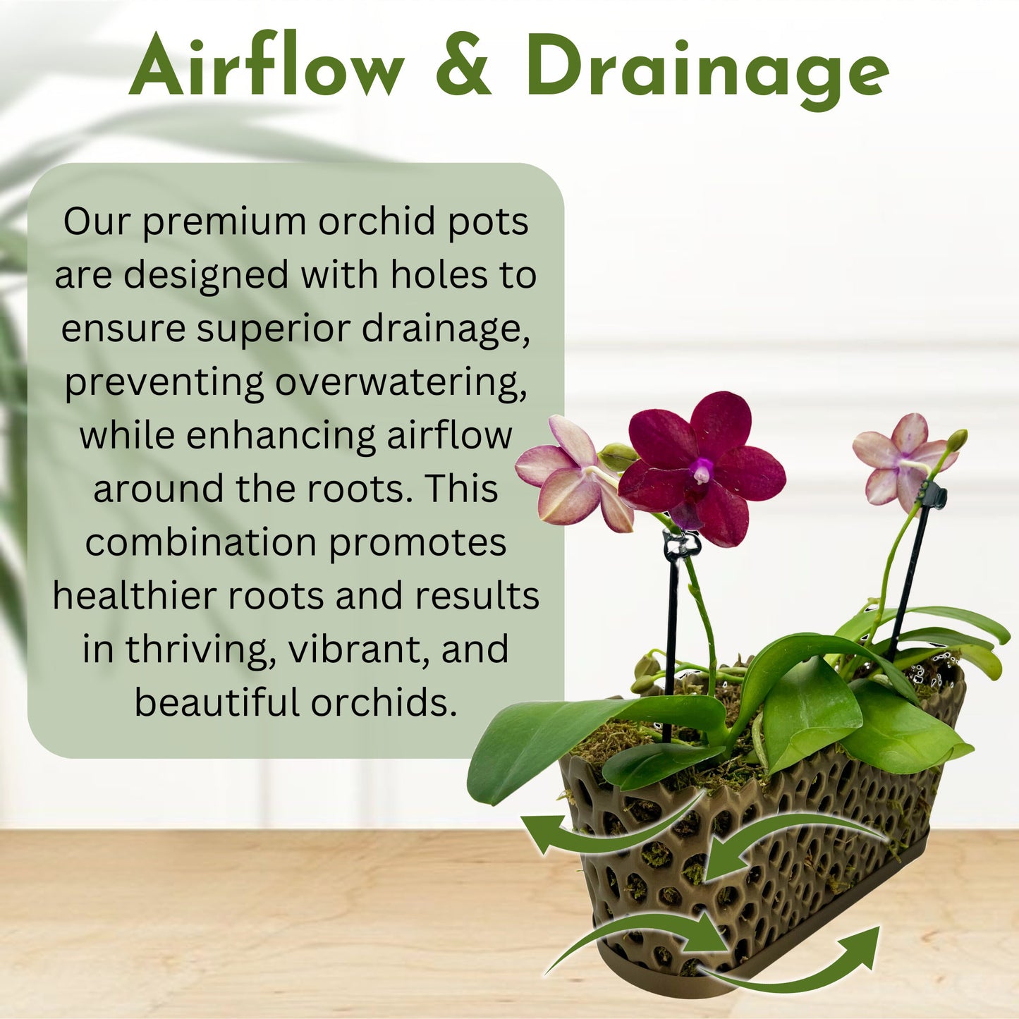 Mesh Trough Orchid Pot