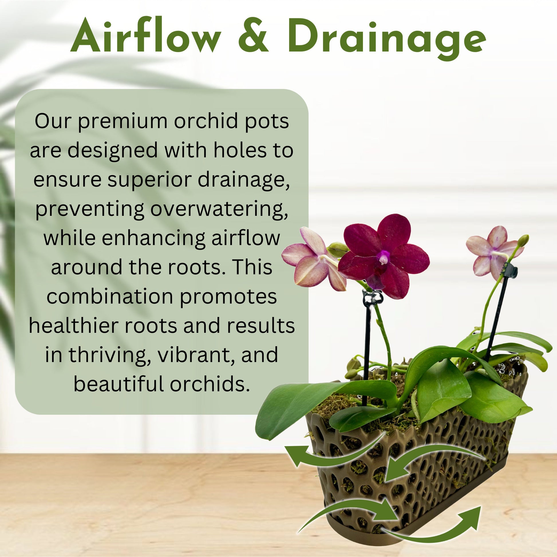 Mesh Trough Orchid Pot