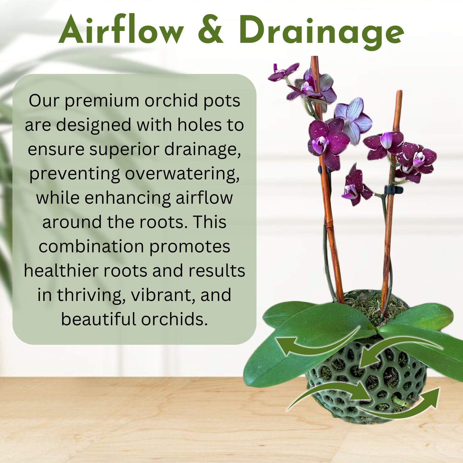 Mesh Wall Orb Orchid Pot