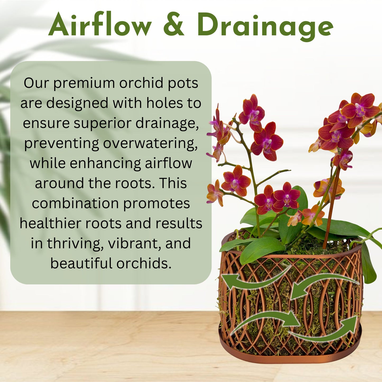 Arc Orchid Pot