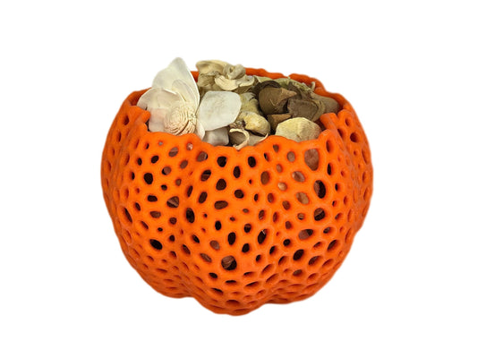 Mesh Pumpkin Orchid Pot