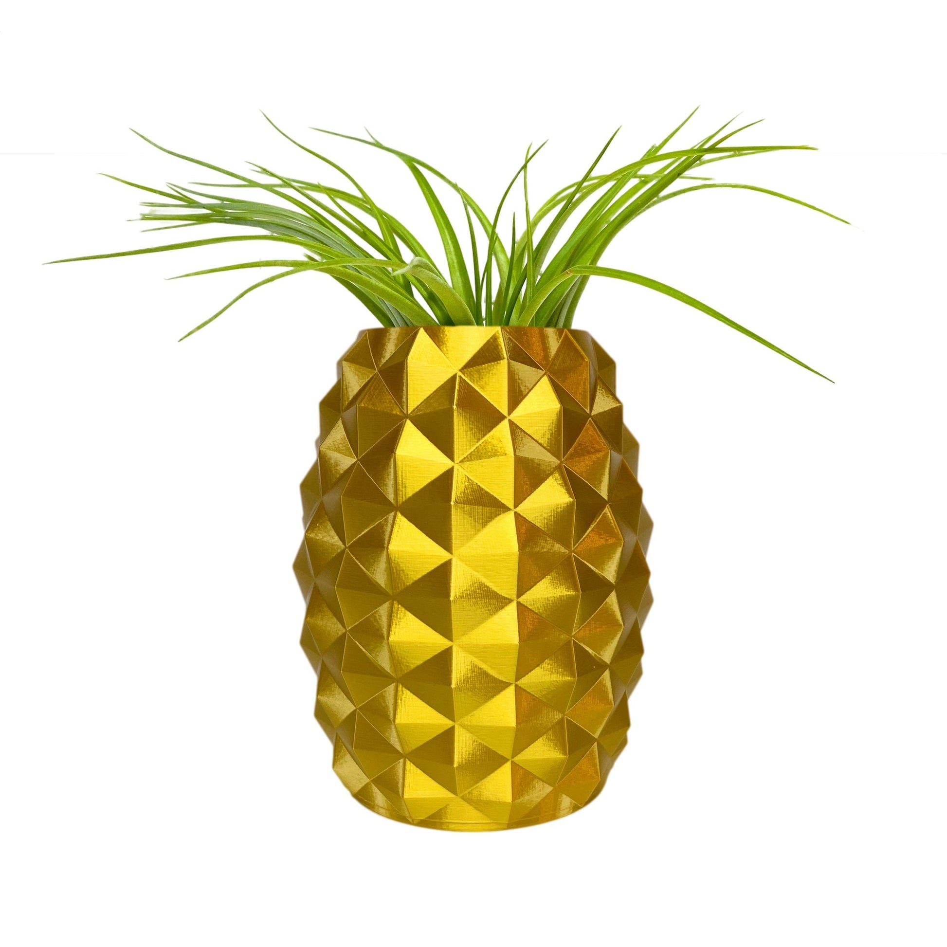 Pineapple Pot