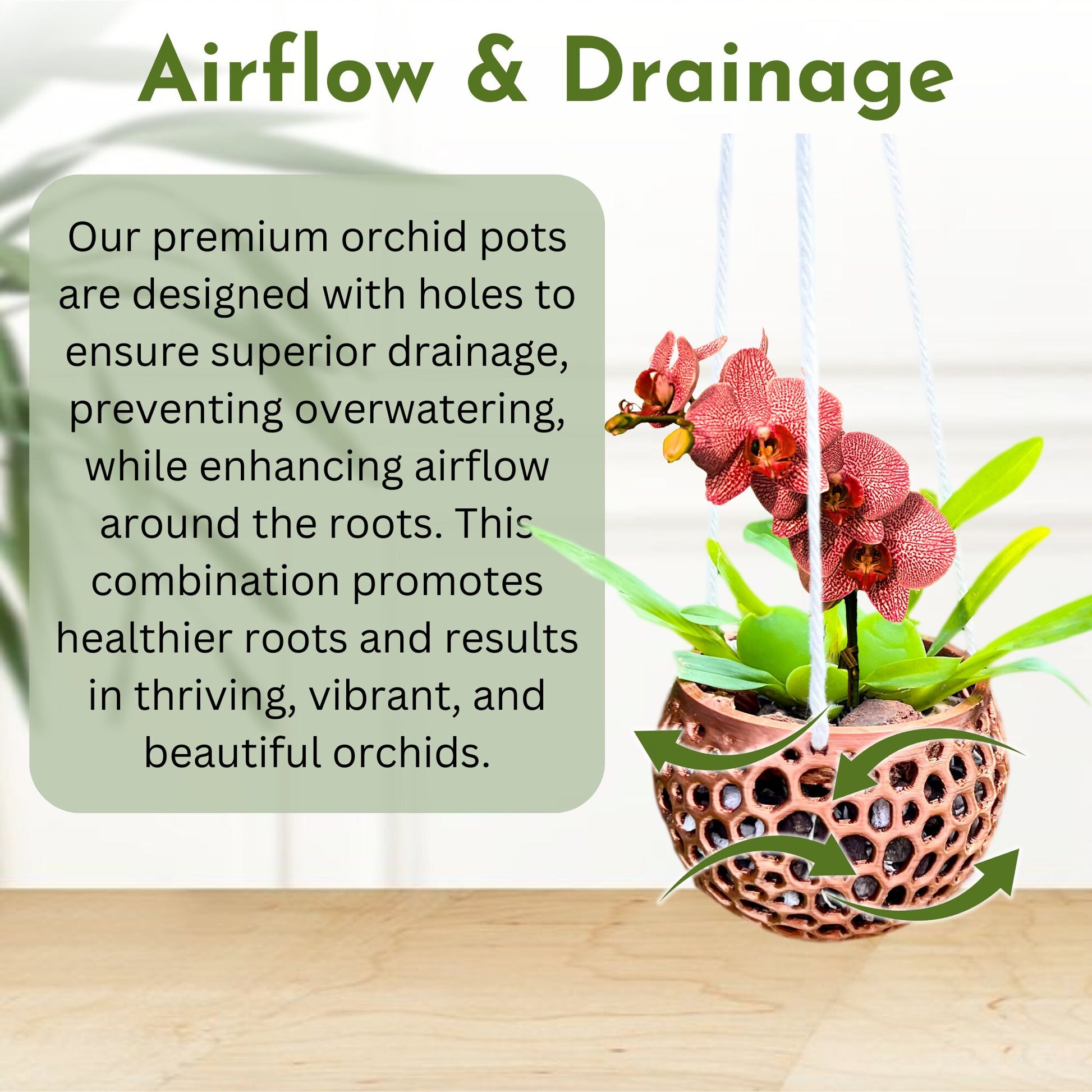 Hanging Kokedama Orchid Pot