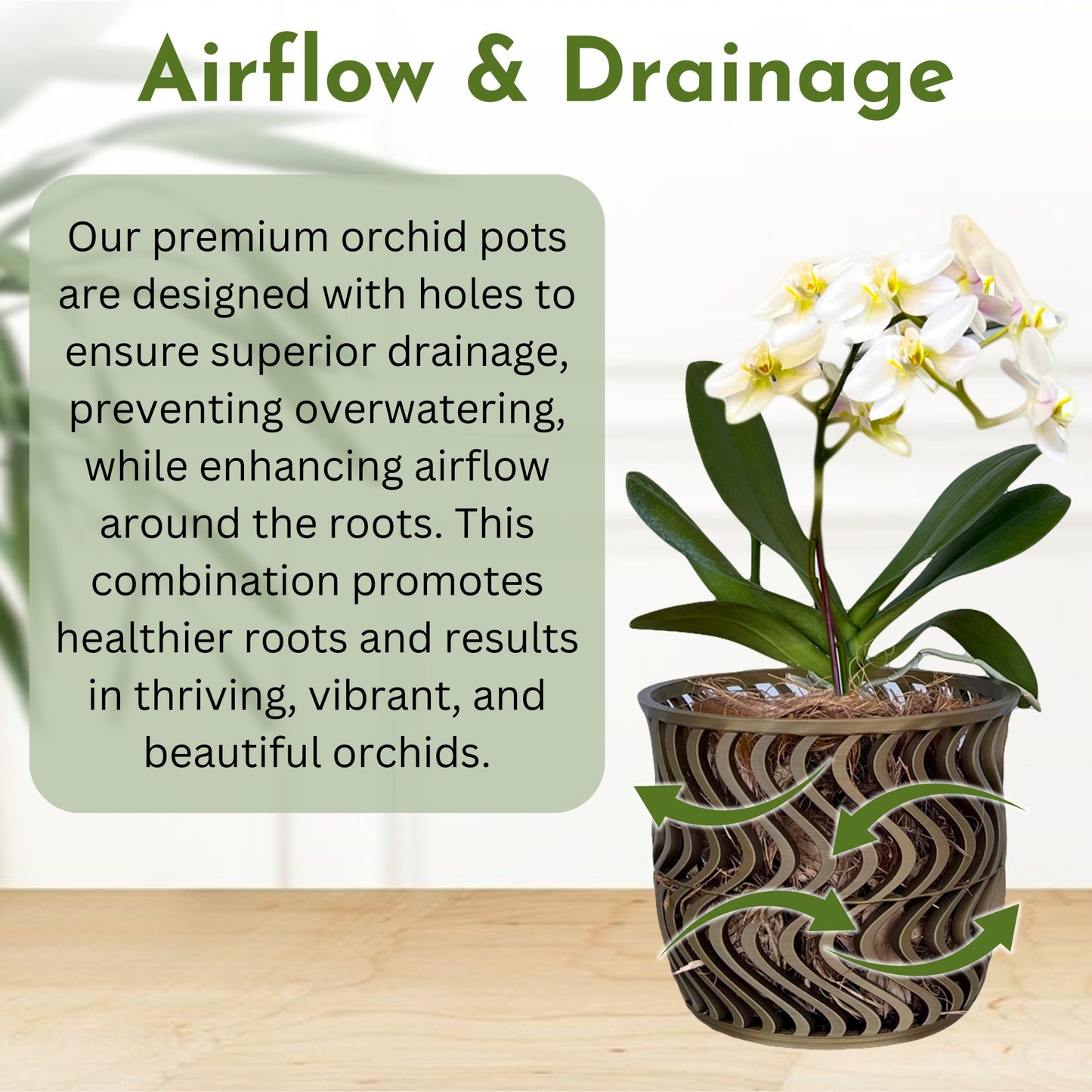 Wide Groovy Orchid Pot