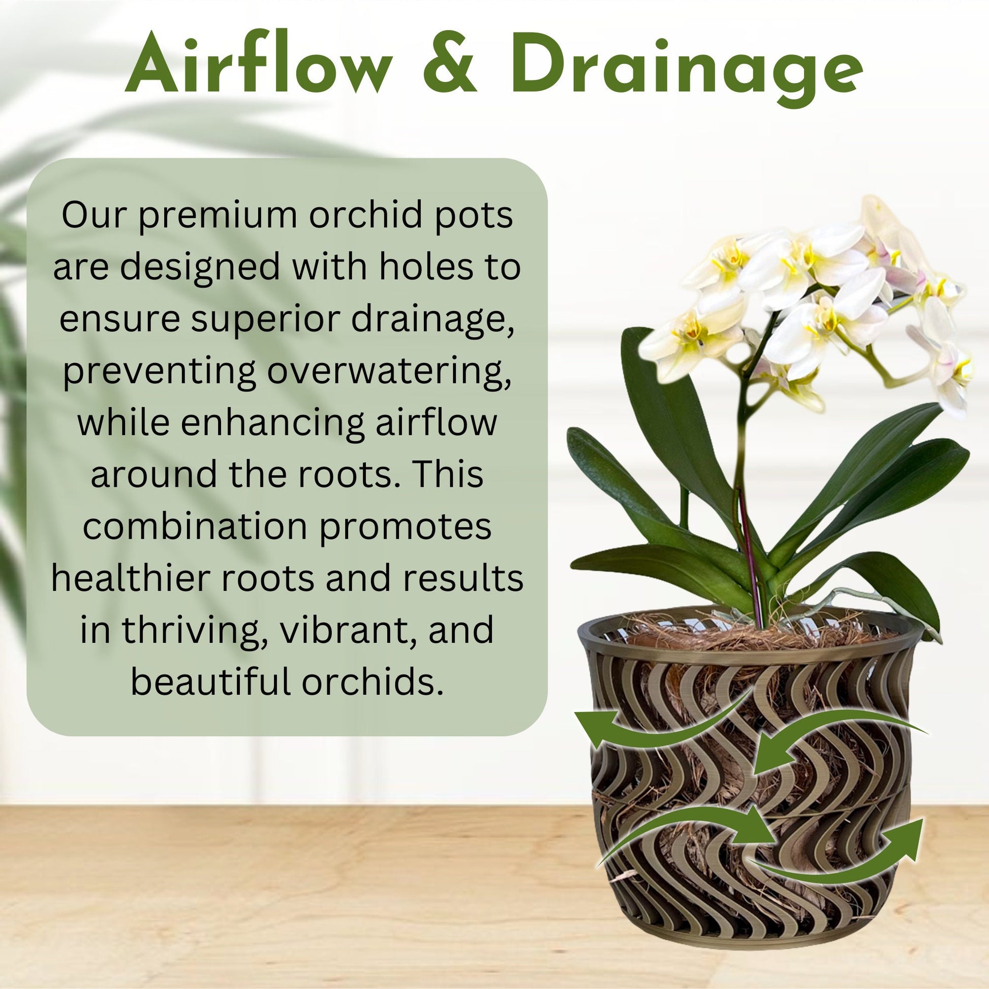 Wide Groovy Orchid Pot