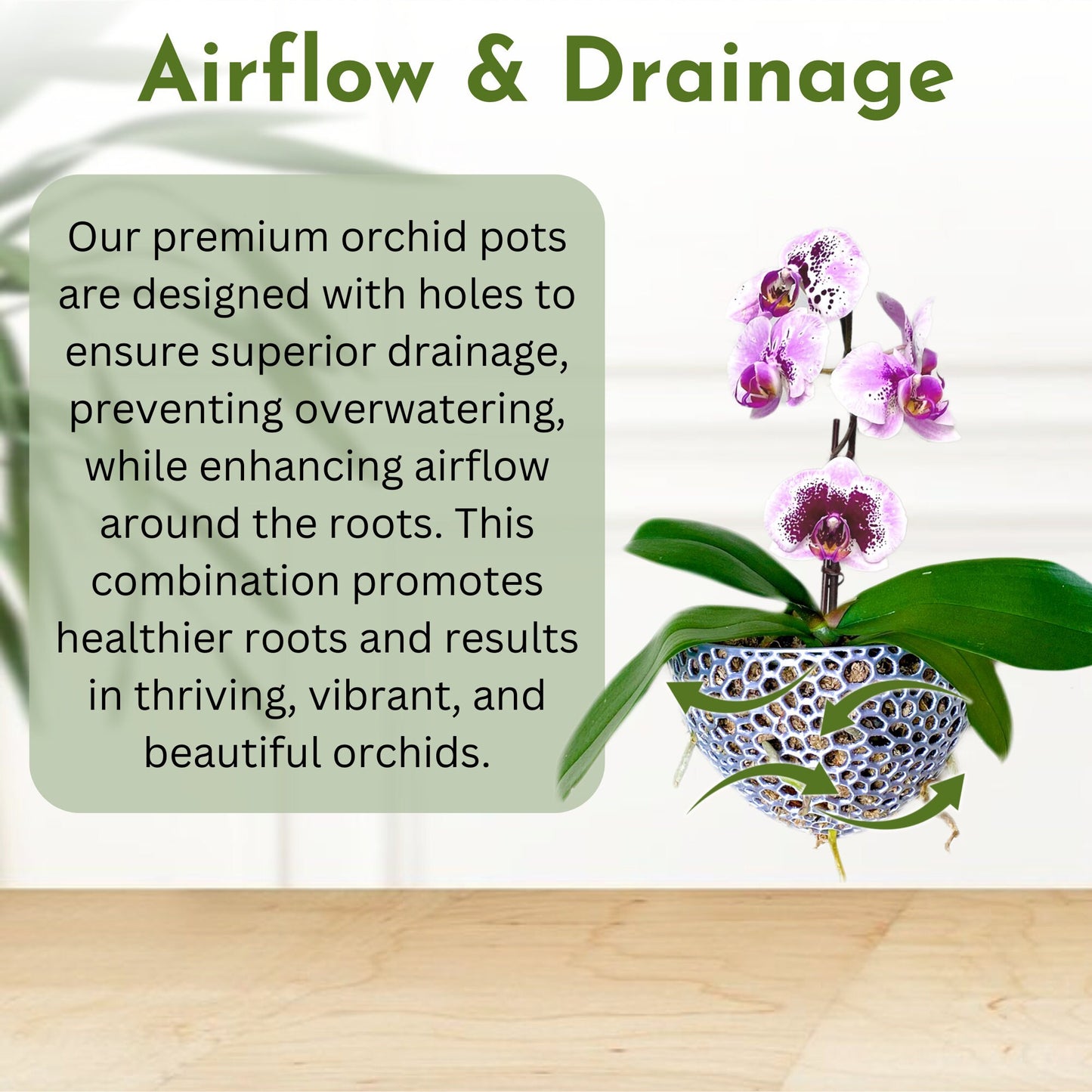 Mesh Wall Cone Orchid Pot