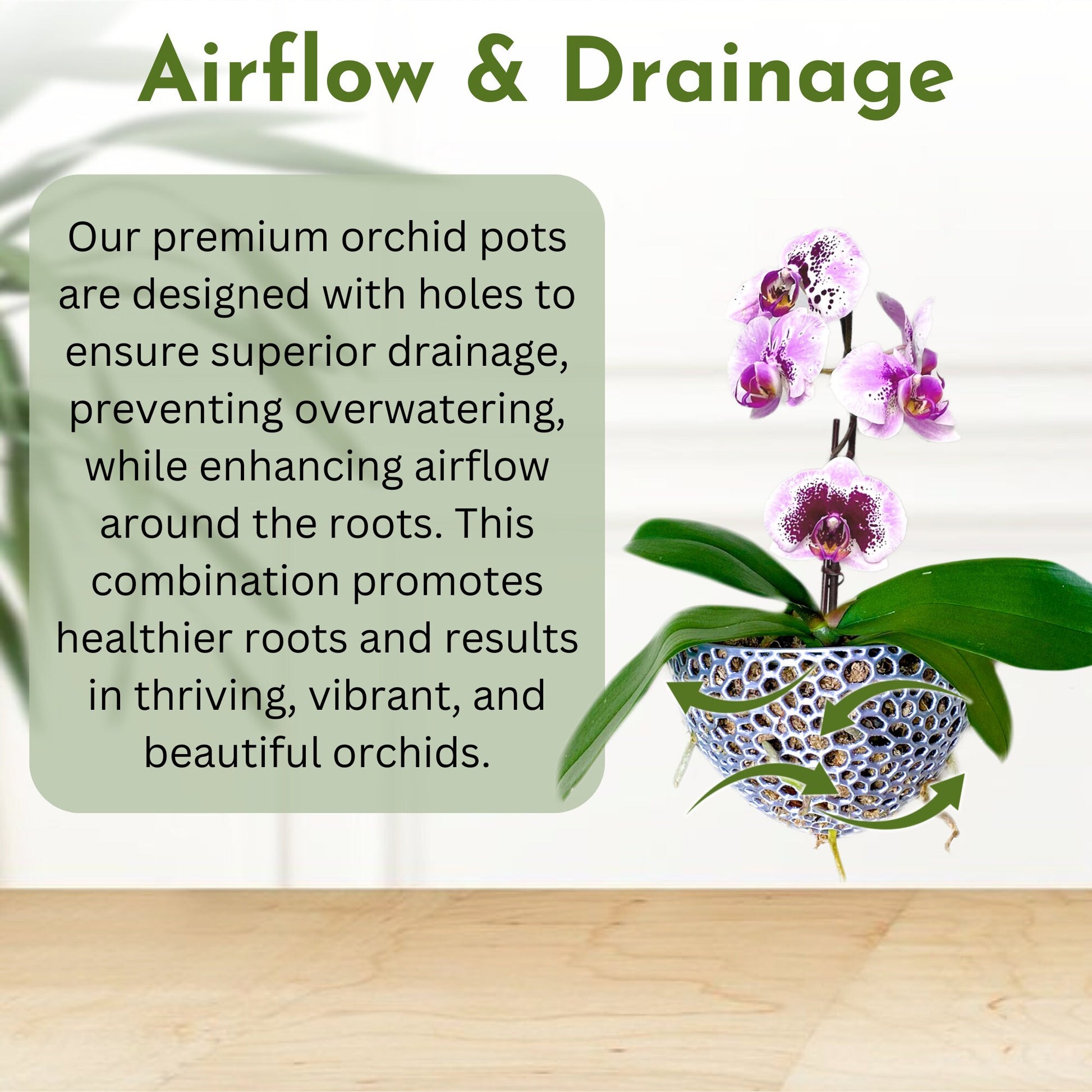 Mesh Wall Cone Orchid Pot