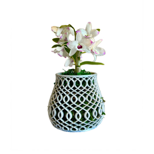 Patterned Orchid Pot