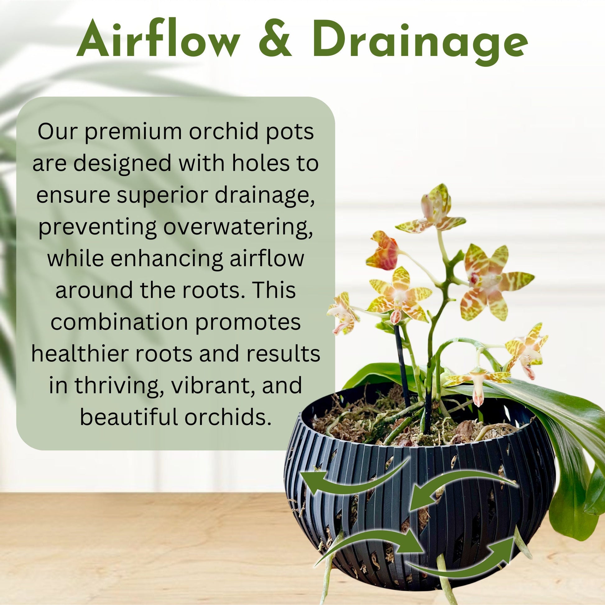 Orchid Geometric Lines Bowl, Multi Orchid Pot Planter, Modern Stylish Minimalist Orchid Pot, Orchid Pot with Drainage, Orchid Centerpiece