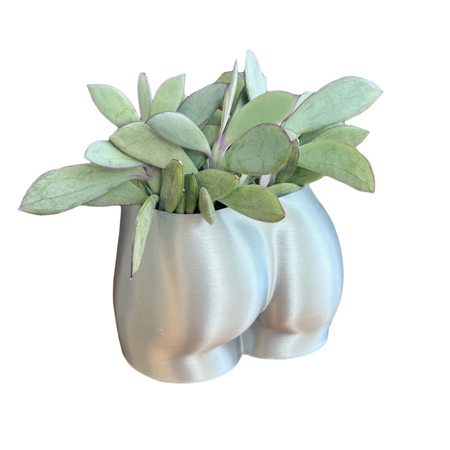 Butt Planter