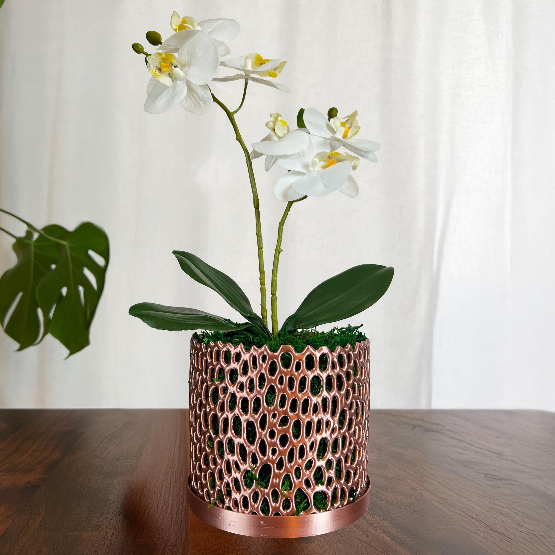 Stylish Orchid Planter with Drainage Holes - Perfect for Indoor & Outdoor Use