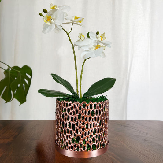 Stylish Orchid Planter with Drainage Holes - Perfect for Indoor & Outdoor Use