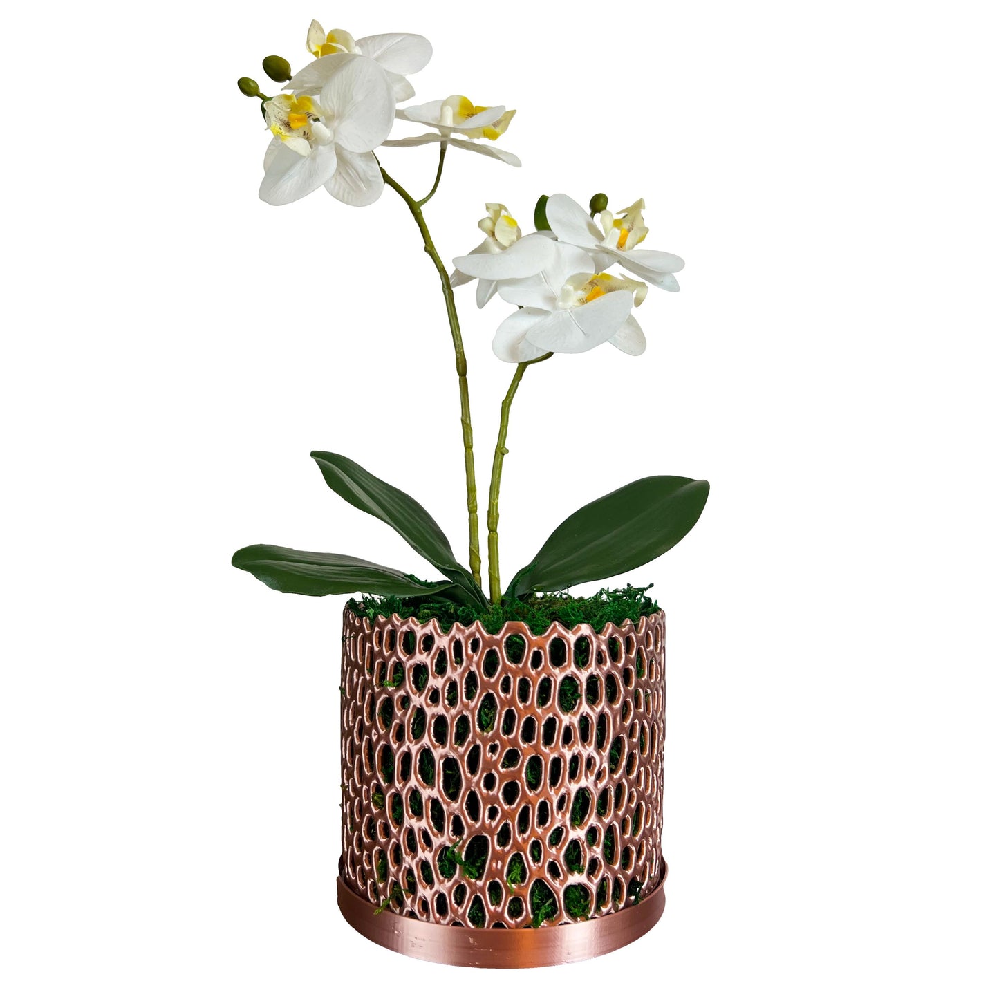 Stylish Orchid Planter with Drainage Holes - Perfect for Indoor & Outdoor Use