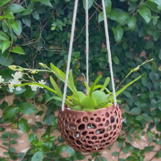 Hanging Kokedama Orchid Pot
