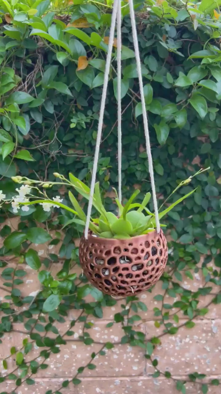 Hanging Kokedama Orchid Pot
