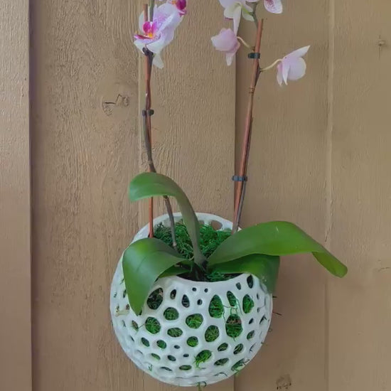 Mesh Wall Orb Orchid Pot