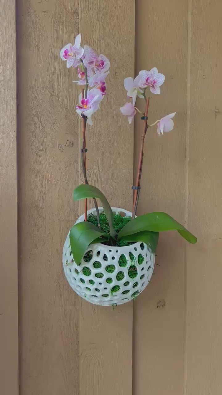 Mesh Wall Orb Orchid Pot