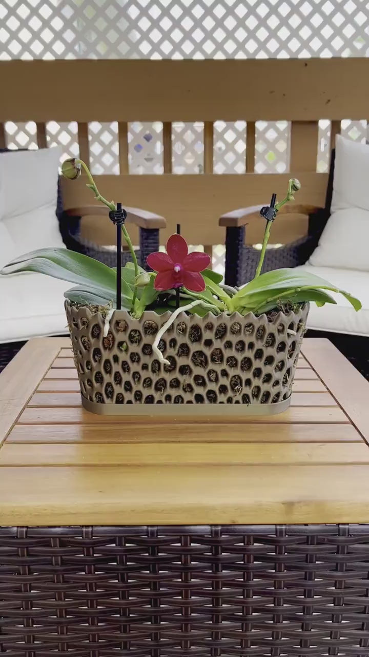 Orchid Trough Pot, Long Orchid Pot, Multi Orchid Pot, Multiorchid Planter, Mesh Orchid Pot,  Orchid Pot with Holes, Modern Orchid Pot Gift