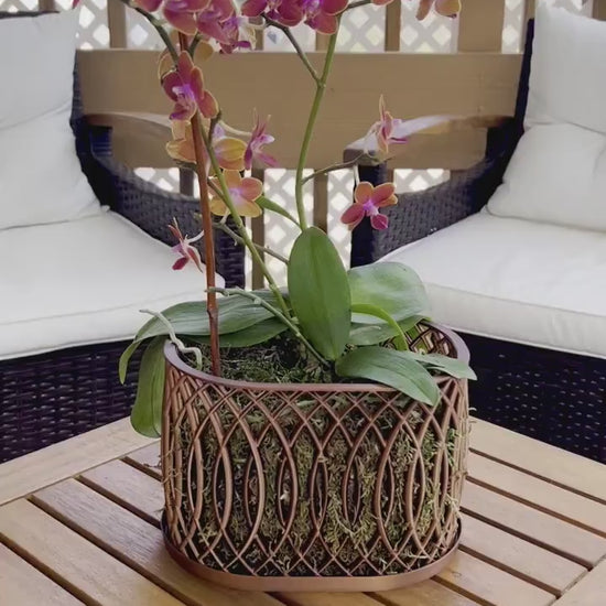 Orchid Arc Pot, Multiorchid Pot, Multiorchid Planter, Orchid Pot with Drainage, Modern Stylish Decor Pot, 3D Printed Lightweight Orchid Pot