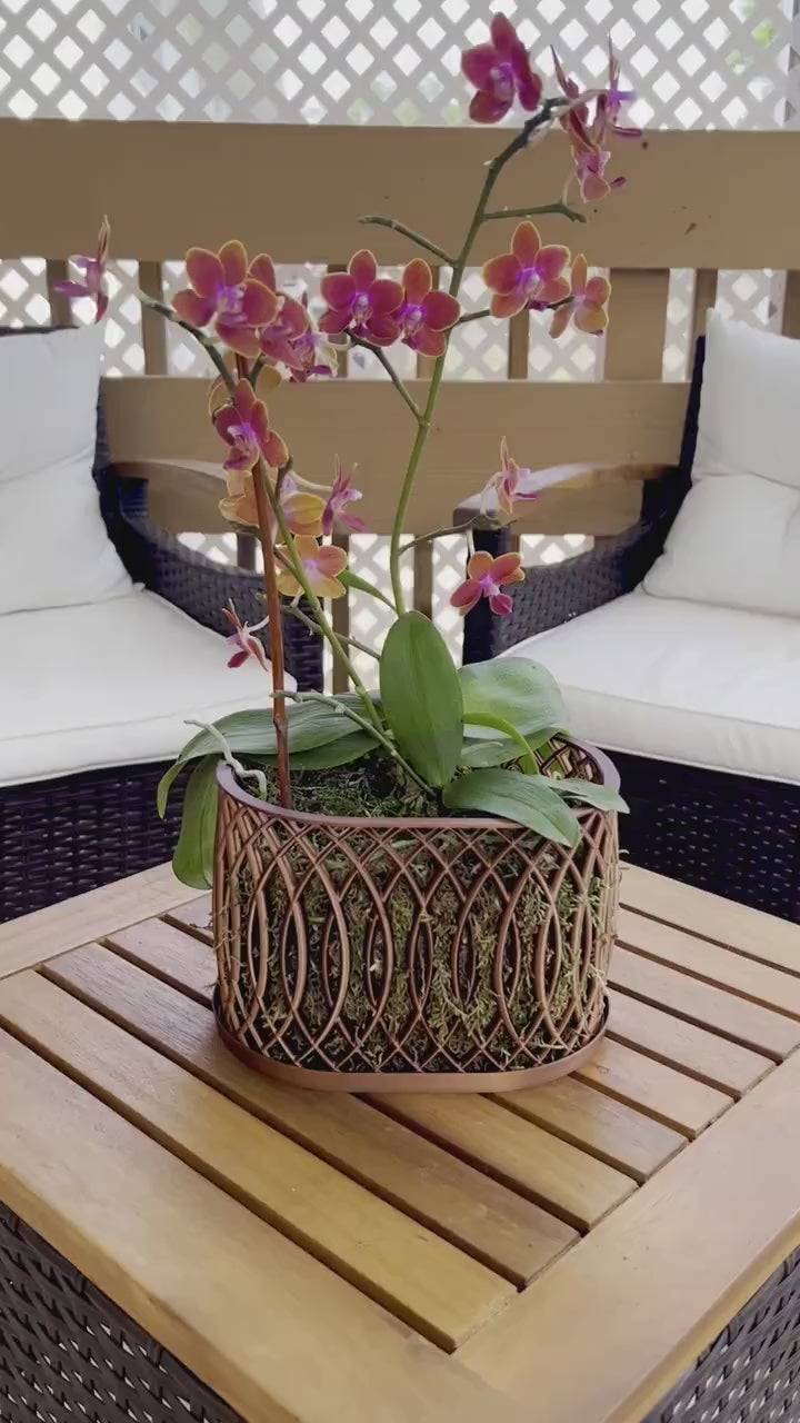 Orchid Arc Pot, Multiorchid Pot, Multiorchid Planter, Orchid Pot with Drainage, Modern Stylish Decor Pot, 3D Printed Lightweight Orchid Pot
